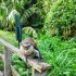 Lekki Conservation Centre: A Visitor’s Experience (Must Read)